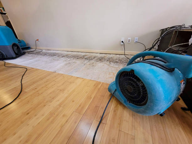 Professional Basement Flood Cleanup technician working in Markham, IL